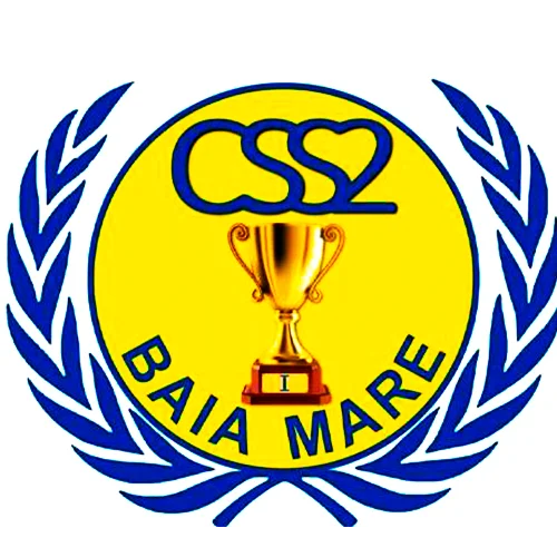 CSS 2 Baia Mare